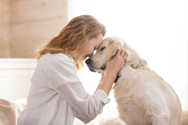 Cat and Dog Euthanasia in Laguna Niguel, CA Cat and Dog Euthanasia in Laguna Niguel, CA